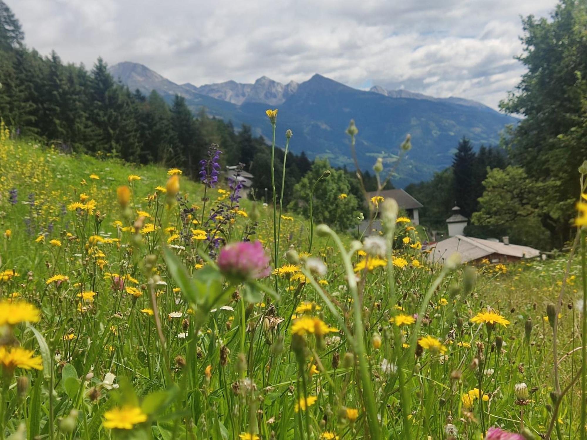 Appartement Waldhof Flattach Kültér fotó